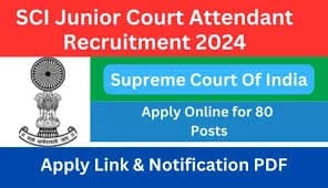 This image has an empty alt attribute; its file name is SCI-JUNIOR-COURT-2024.jpeg